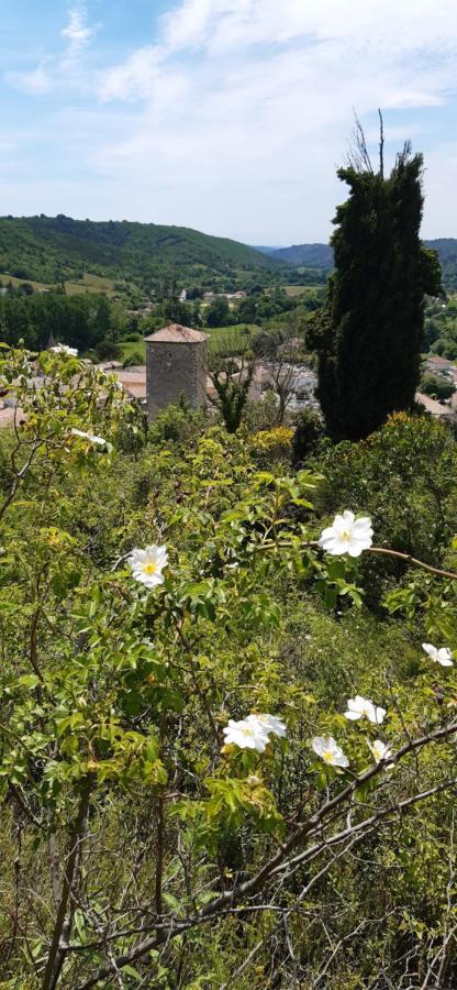 Loc Alp Verdon Riez Exterior foto